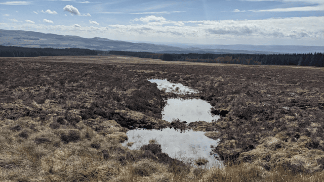 Knoxfauld peatland (1): Knoxfauld peatland (1)