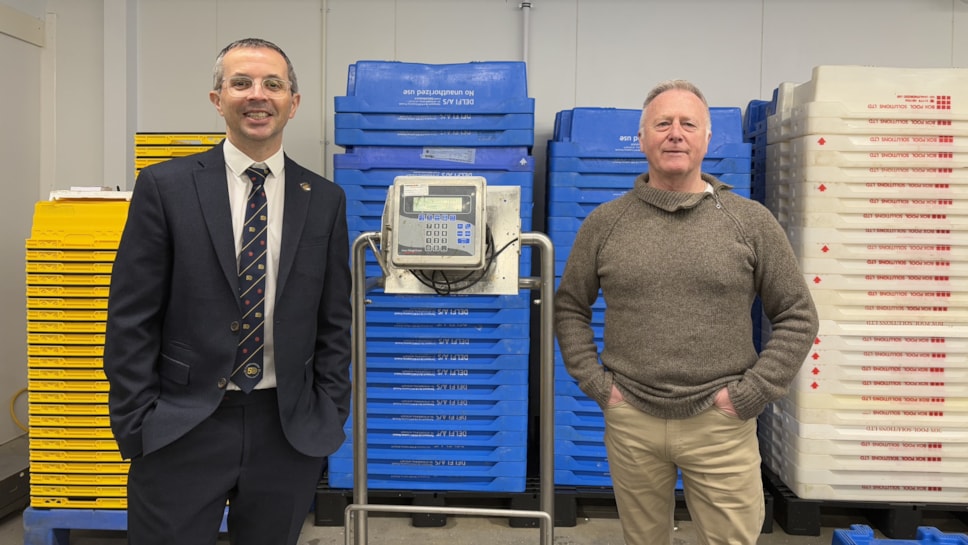 Men are standing next to weighing scales and in front of piles of yellow, blue and white plastic boxes.