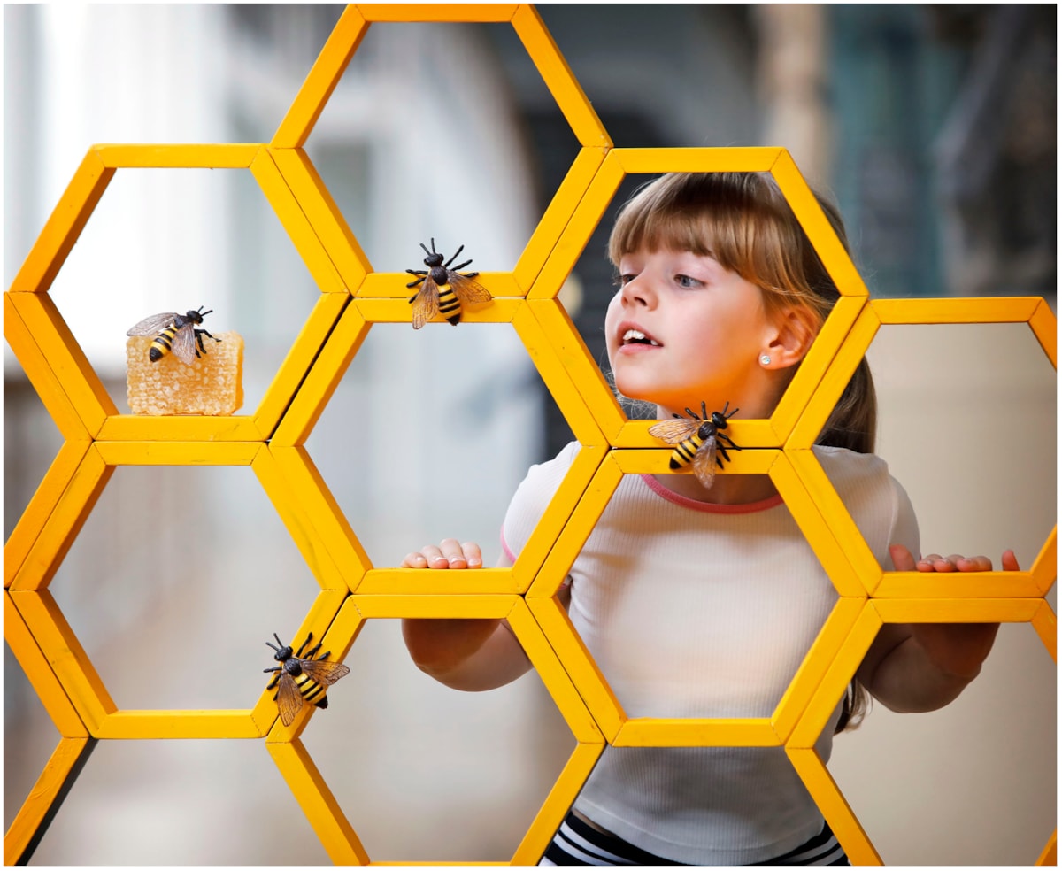 Caela Callander (7) examines geometric honeycomb ahead of Maths Week Scotland 2025. Photo © Paul Dodd 4