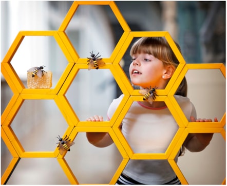 Caela Callander (7) examines geometric honeycomb ahead of Maths Week Scotland 2025. Photo © Paul Dodd 4
