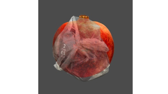 Inspiring new exhibition will highlight innovative work responding to the environment.: Elizabeth Orcott, Mat(t)er Refusae et Malagranati, 2025-2