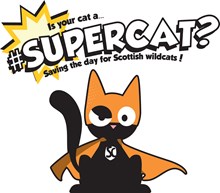 Super Cat 2 for SWA