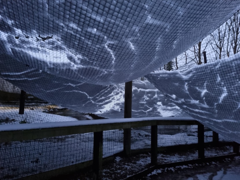 Lotherton zoo badly damaged after heavy snow: Wildlife World netting