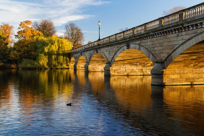 It’s the season to fall in love with London: 2016 11 19 Hyde Park-78