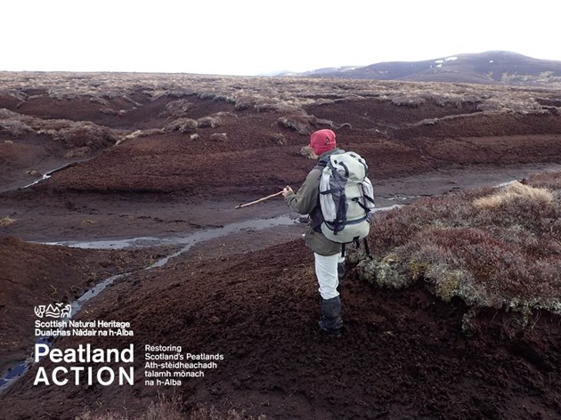 Applications open for funding to restore Scotland’s peatlands: Peatlands