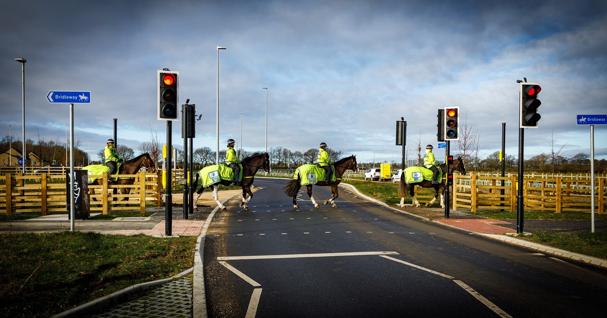 West Yorkshire Mounted Police Unit uses equestrian crossing on the East Leeds Orbital Route (ELOR): 4 horses and riders from the West Yorkshire Police mounted unit cross the road at a designated equestrian crossing on ELOR.
