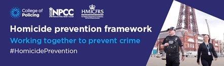 Homicide-prevention-framework-978x292