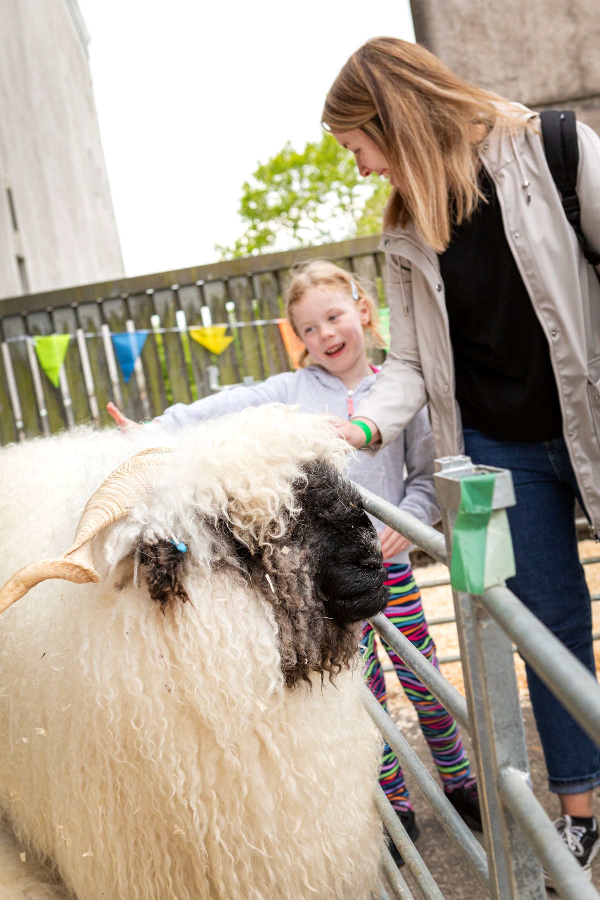 Woolly Weekend at the National Museum of Rural Life. Photo © Ruth Armstrong-6