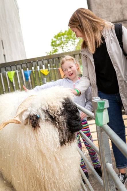 Woolly Weekend at the National Museum of Rural Life. Photo © Ruth Armstrong-6