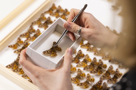 Natural Sciences at the National Museums Collection Centre © Duncan McGlynn-4