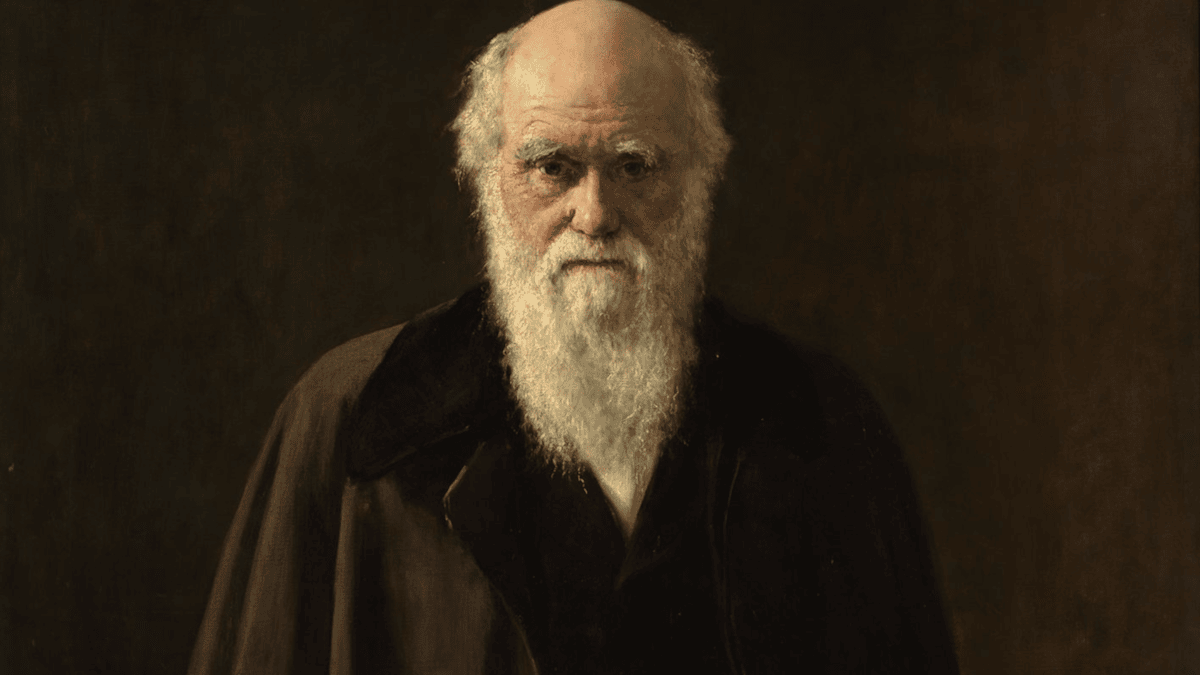 Source: The Linnean Society of London, (OP/D/1).
Copyright: The Linnean Society of London