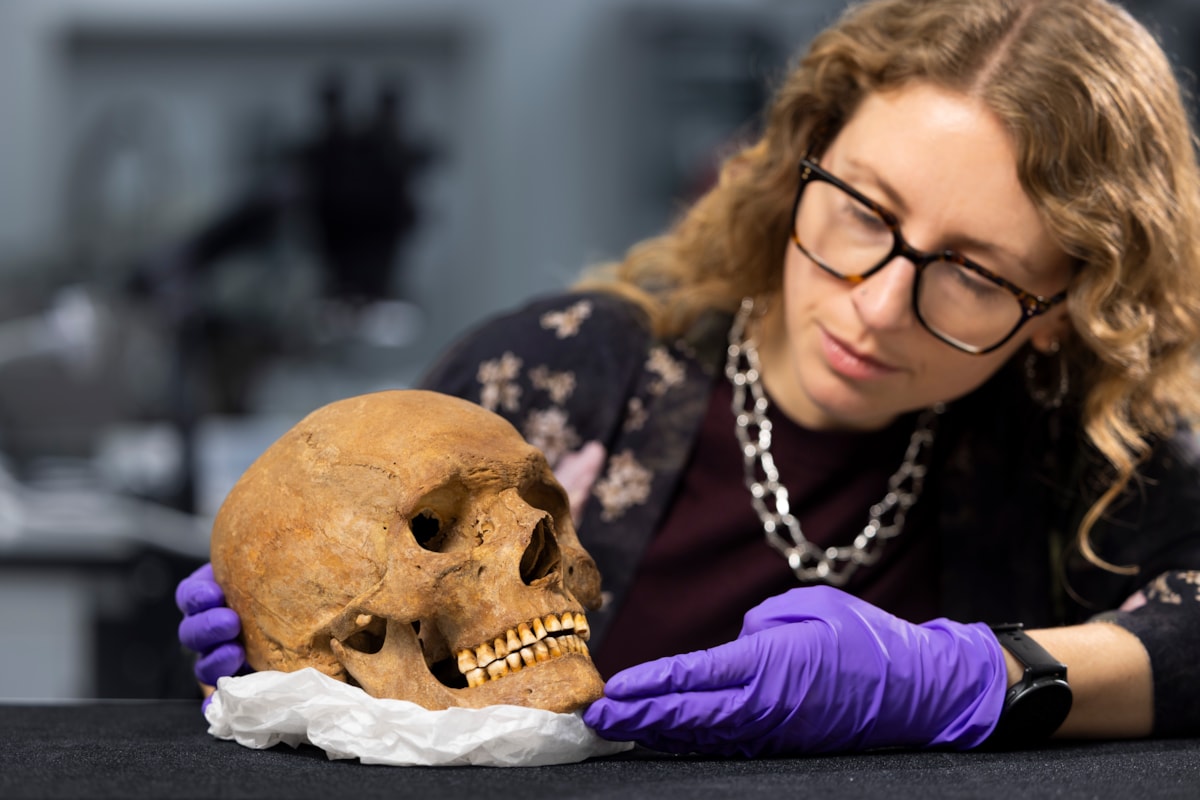 Dr Jess Thompson examines the skull of a man from Roman Scotland. Photo © Duncan McGlynn-5