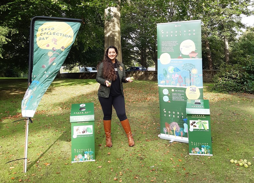 Leeds residents encouraged to play their part in tree-mendous city-wide tree planting project: Seed collection (4)