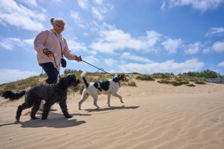 Marley and Cooper with Helen Sutton