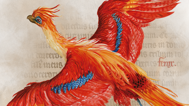 New ‘Harry Potter: A History of Magic’ exhibition set to light up Leeds Central Library from this Sunday: exhibition.png