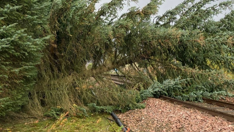 Engineers working to reopen lines after Storm Amy: Tree down at Pitlochry 1
