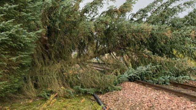 Tree down at Pitlochry 1: Tree down at Pitlochry 1