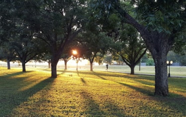 Urban park