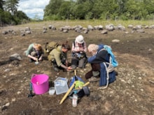 NatureScot and RBGE planting out round leaved bryum credit Neil Bell, Royal Botanic Garden Edinburgh