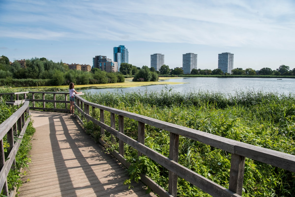 The reservoir at Woodberry Wetlands with the Woodberry Down estate and Lincoln Court estate in the background (4)