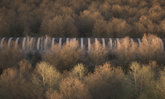 Visualisation of the Sheephouse Wood Bat Protection Structure from above