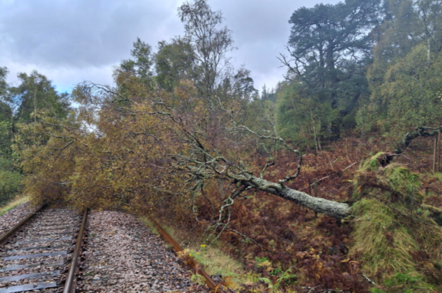 Storm Amy 4: Storm Amy 4