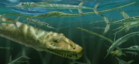 Dinocephalosaurus orientalis swimming alongside some prehistoric fish known as Saurichthys. Image © Marlene Donelly