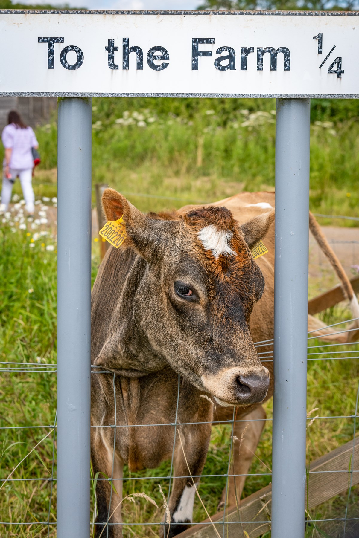 ational Museum of Rural Life. Photo (c) Ruth Armstrong-3