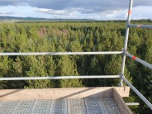 View from top of flux tower of tree canopy -Free use - please credit Chris Boyce-NatureScot Peatland ACTION