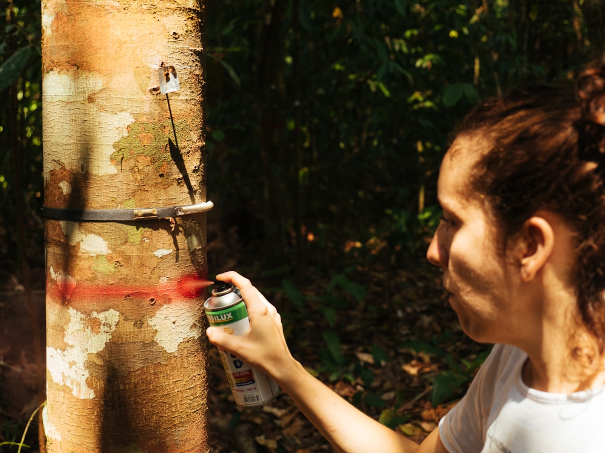 University of Cumbria academic contributes expertise on seed dispersal to new Amazon rainforest study-8