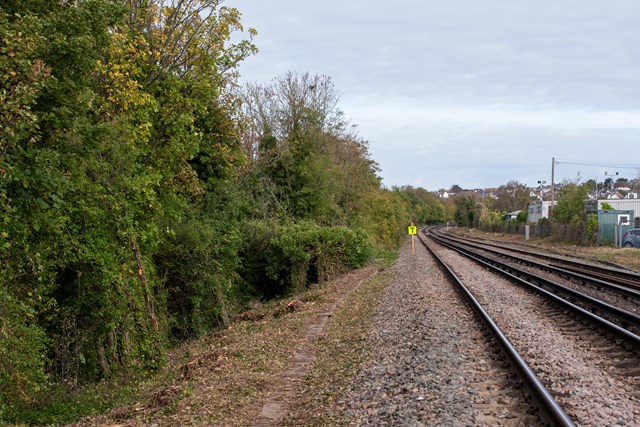 Cut back vegetation - Whitstable: Cut back vegetation - Whitstable. The section beyond the T hasn't been tackled yet