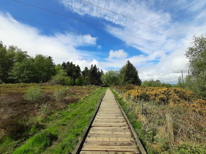 Seven Leeds parks awarded as some of the best in the country: Otley Chevin Boardwalk