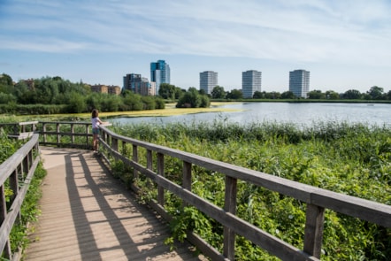 The reservoir at Woodberry Wetlands with the Woodberry Down estate and Lincoln Court estate in the background