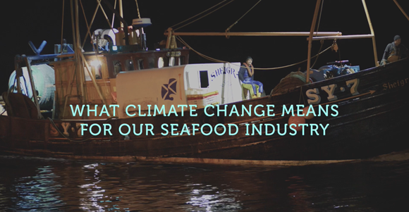 Seafish launches campaign on climate change impacts for seafood: Film Still 1a - What climate change means for our seafood industry