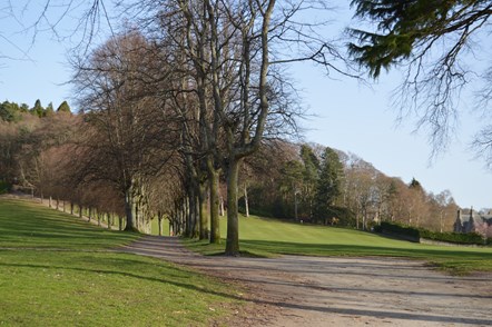 Grant Park looking up to Cluny Hill