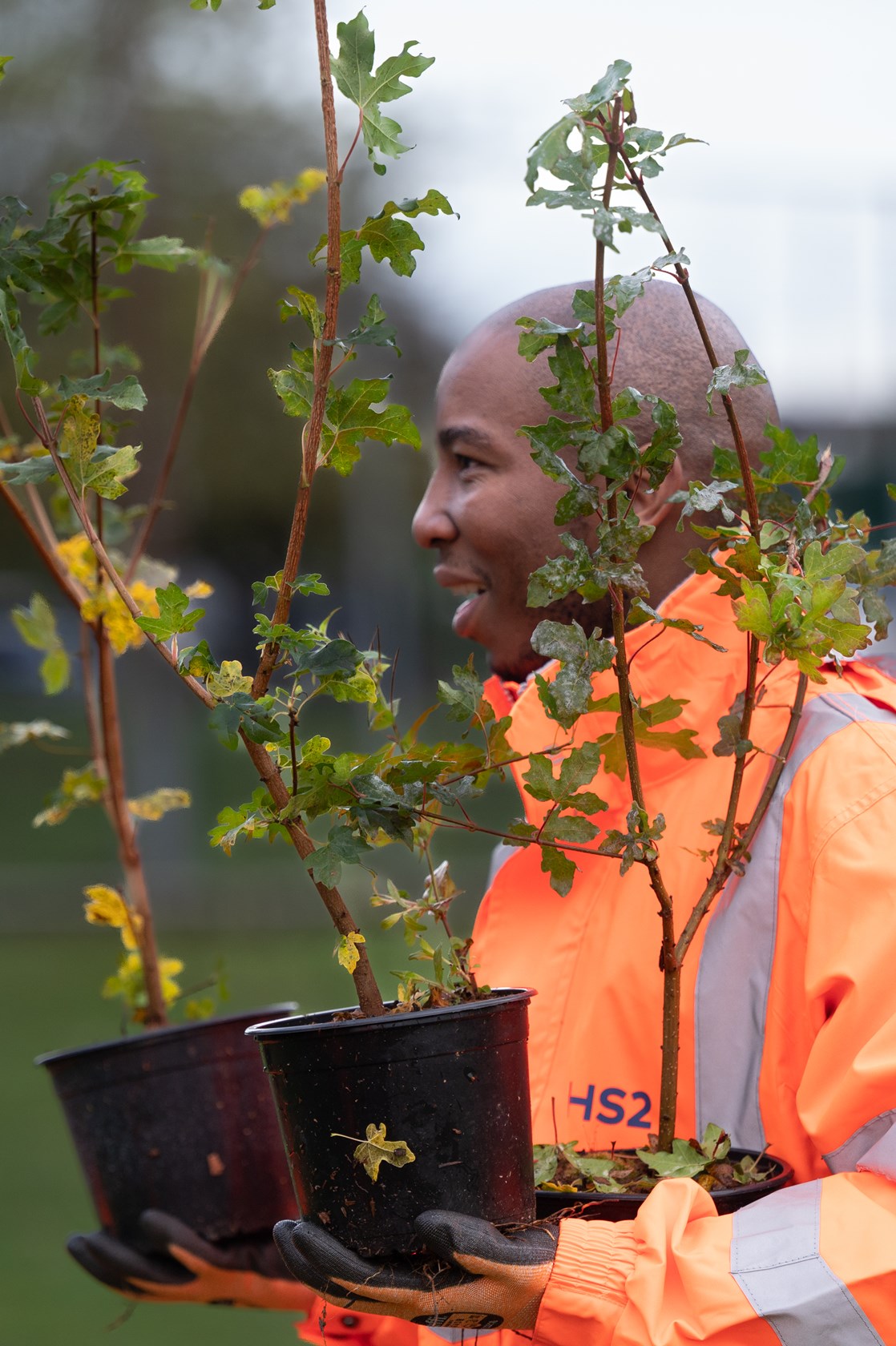 HS2 volunteers planting trees at Corley Academy