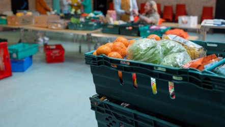 Tackling food poverty