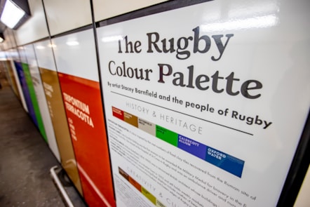 Rugby Colour Palette Artwork