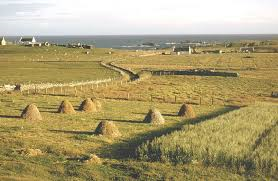 Crofting Commission election