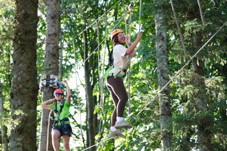 Aerial Adventure at Hafan y Mor