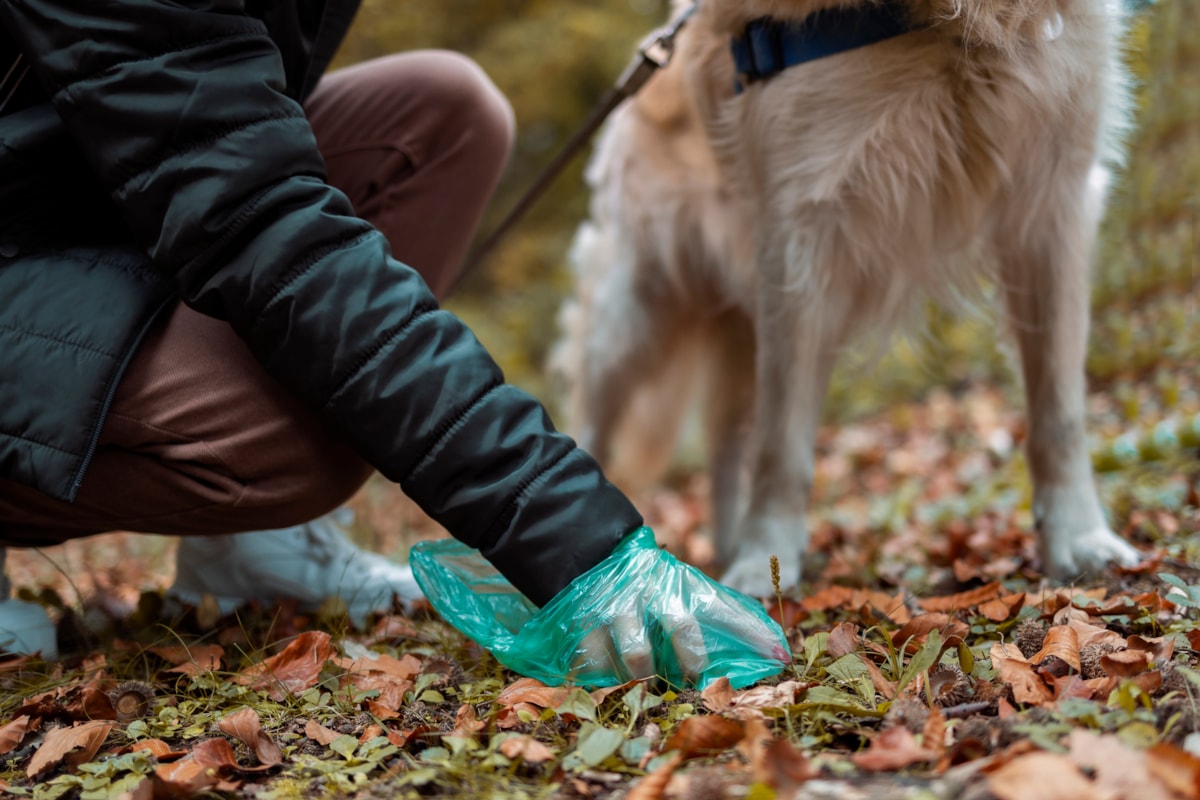 Dog fouling PSPO