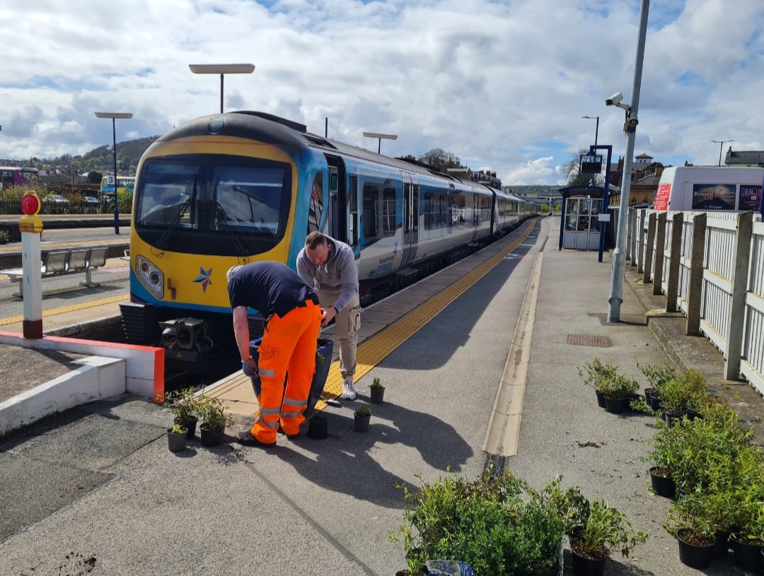 New planters installed at TPE stations  (7)