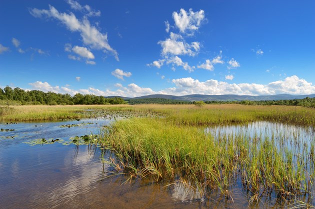 Responsible access initiative in Deeside this summer: Loch Kinord at Muir of Dinnet NNR image credit Lorne Gill / NatureScot