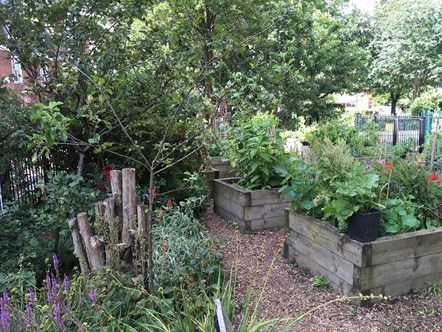 Lever Street Community Garden won Best Community Park in last year's competition