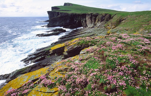 Isle of Noss NNR, Shetland ©Lorne Gill/NatureScot