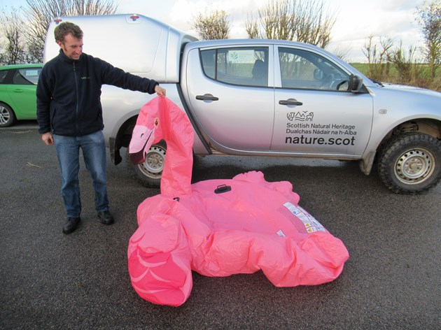 Forvie NNR - SNH Nature Reserve Officer Daryl Short with beach find of inflatable flamingo - credit SNH