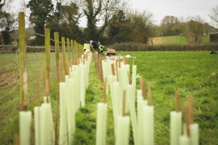 Newly planted hedgerows @JonCraig Photos
