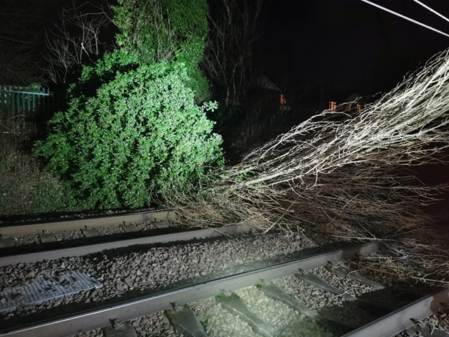 Storm-damaged railway repaired at St Albans ahead of Storm Eunice: Tree on line at St Albans