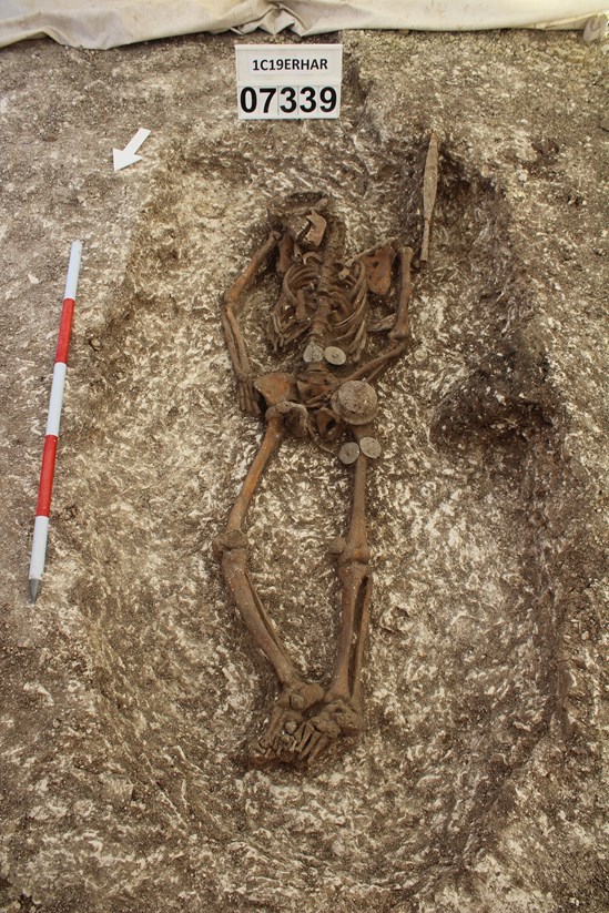 HS2 excavations of an Anglo Saxon burial ground in Wendover-5: A skeleton uncovered in an Anglo Saxon burial ground in Wendover, in a grave containing multiple grave goods.