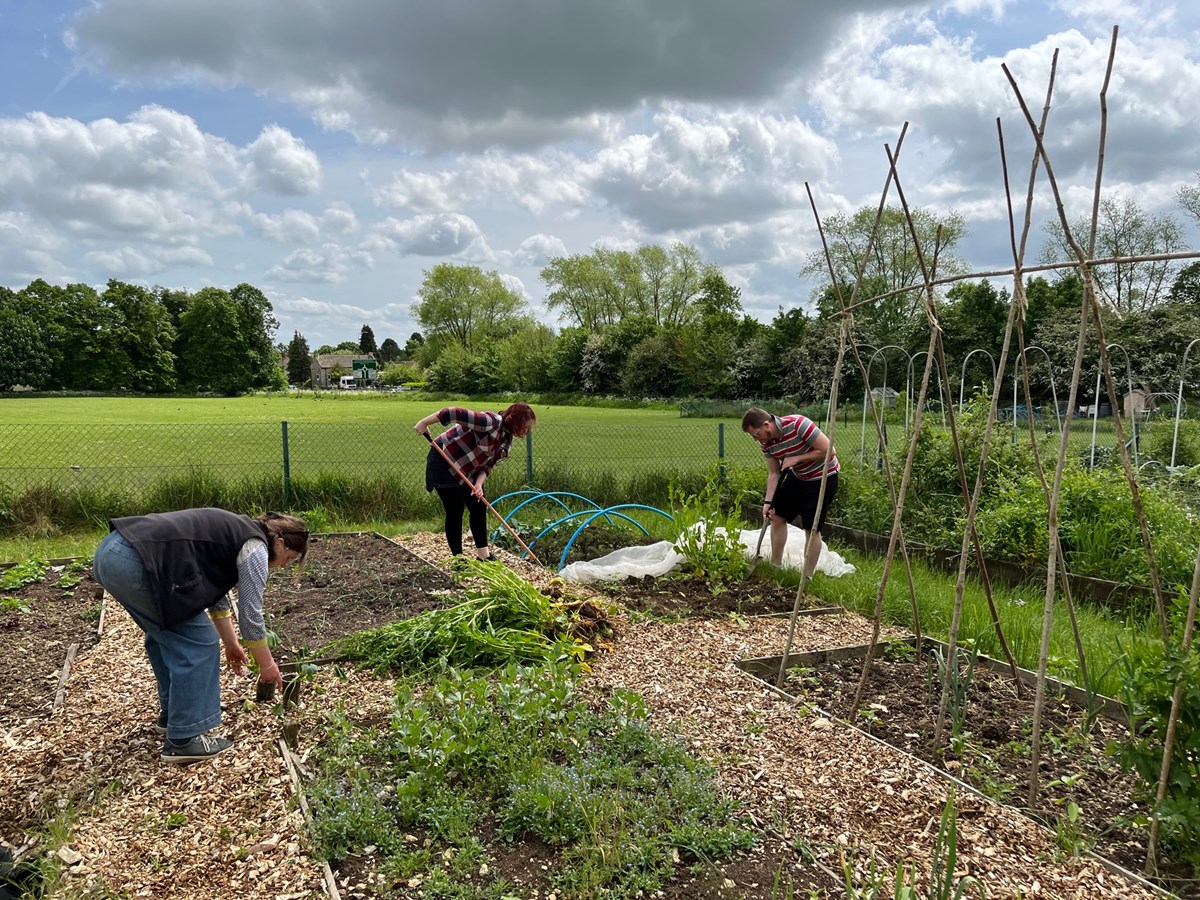 Lucy with volunteers at the allotment